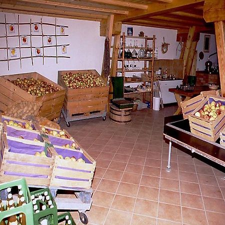 Ferienwohnung Aichem Radolfzell am Bodensee Exteriér fotografie