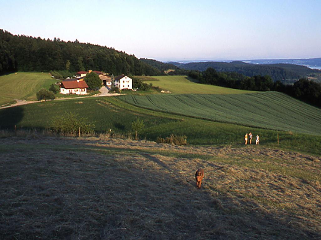Ferienwohnung Aichem Radolfzell am Bodensee Exteriér fotografie